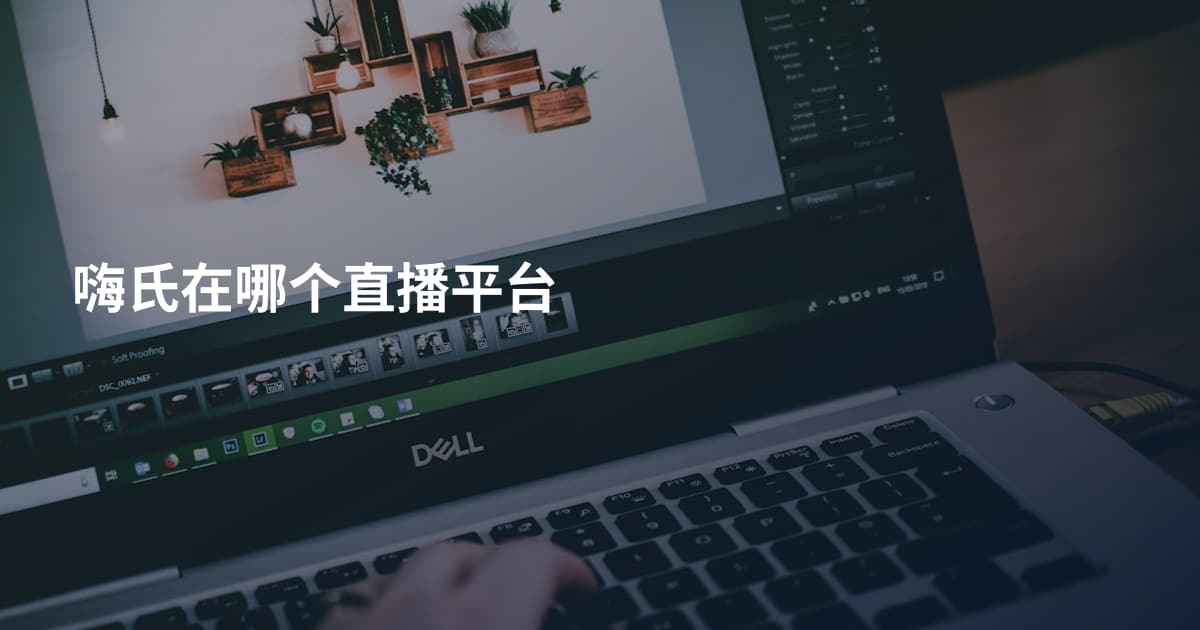 嗨氏在哪个直播平台