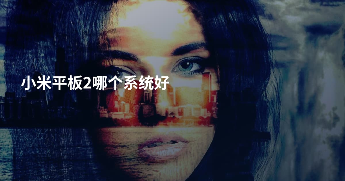 小米平板2哪个系统好