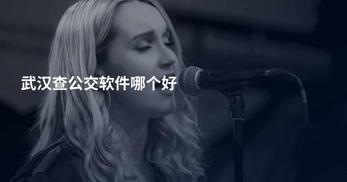 武汉查公交软件哪个好