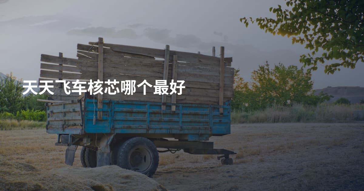 天天飞车核芯哪个最好