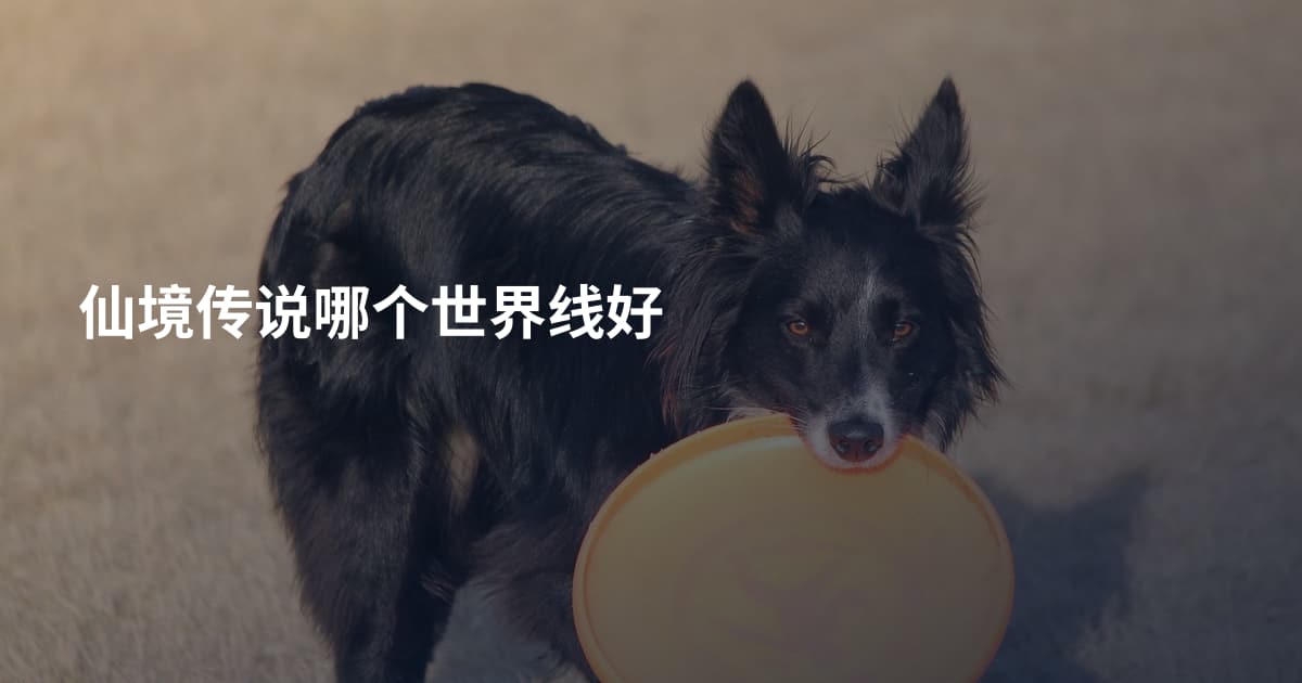 仙境传说哪个世界线好