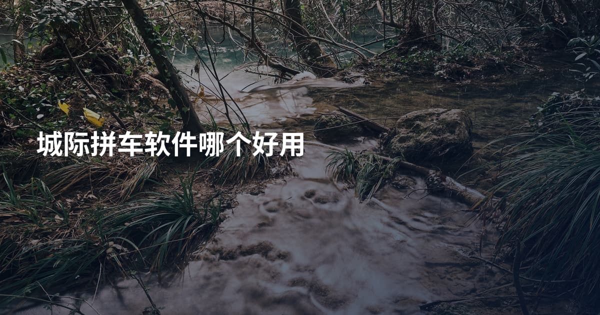 城际拼车软件哪个好用