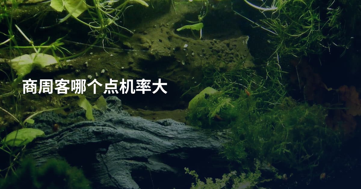 商周客哪个点机率大