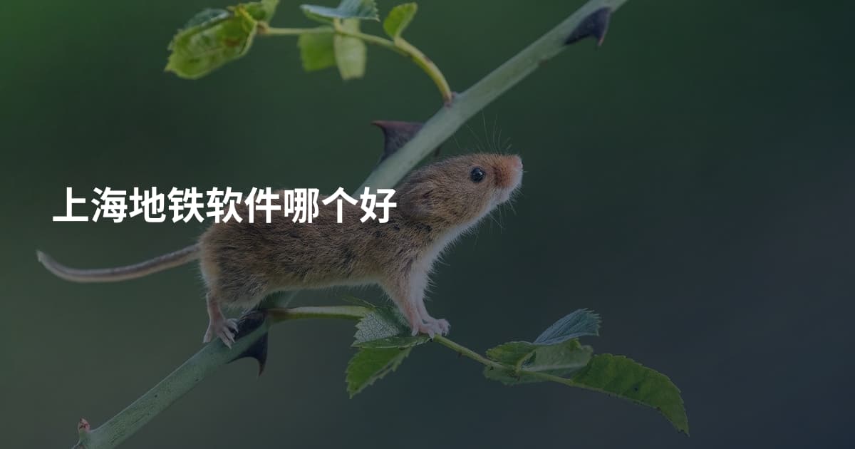 上海地铁软件哪个好