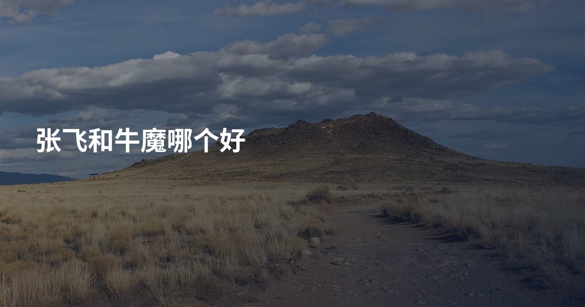 张飞和牛魔哪个好