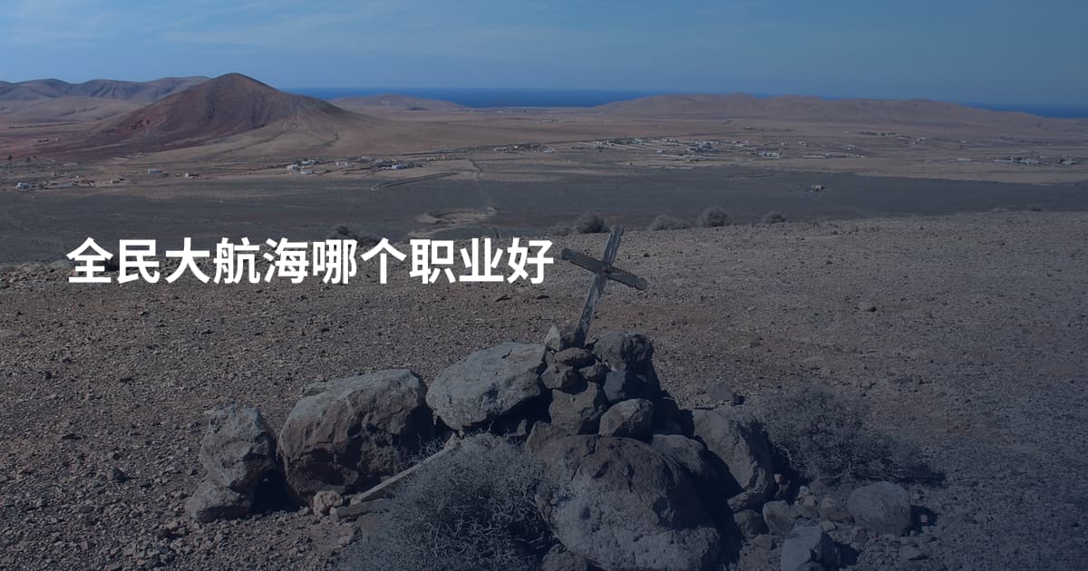 全民大航海哪个职业好