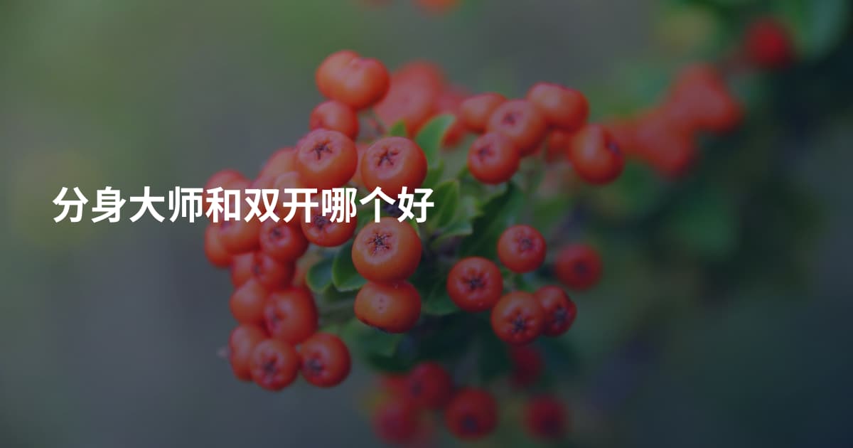 分身大师和双开哪个好