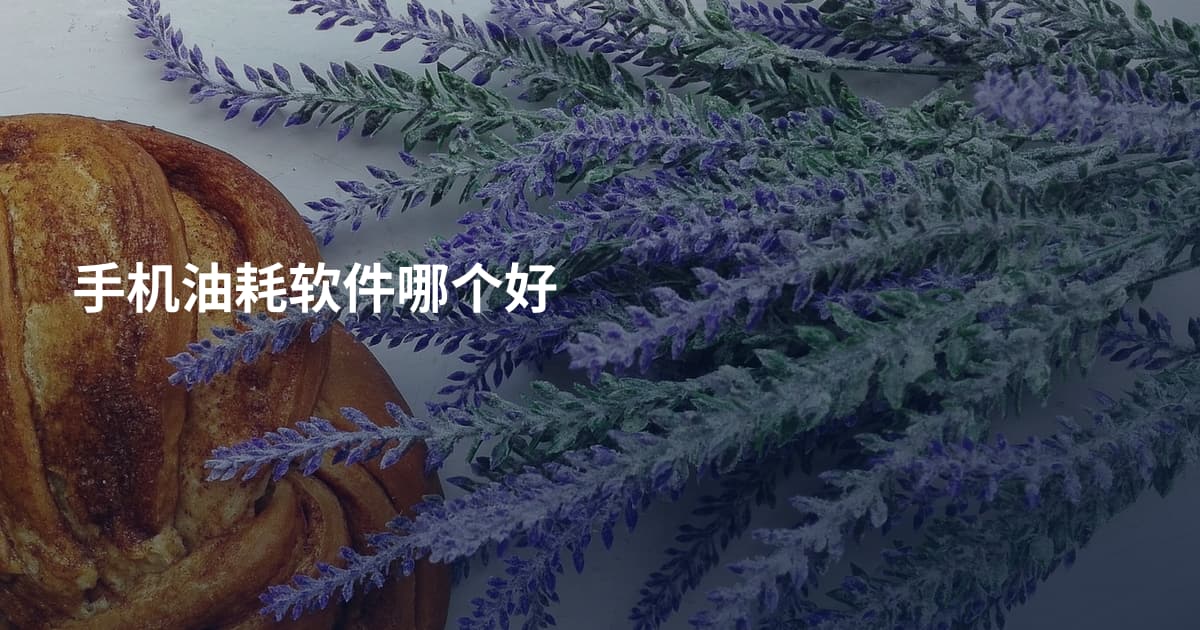 手机油耗软件哪个好