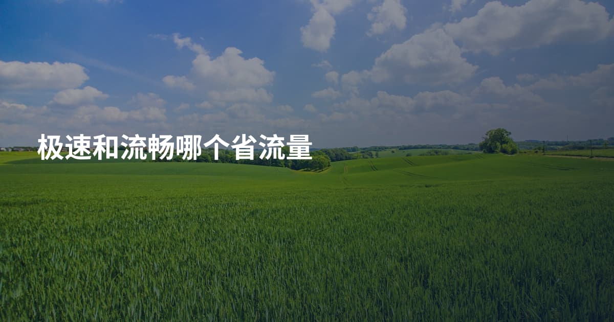 极速和流畅哪个省流量
