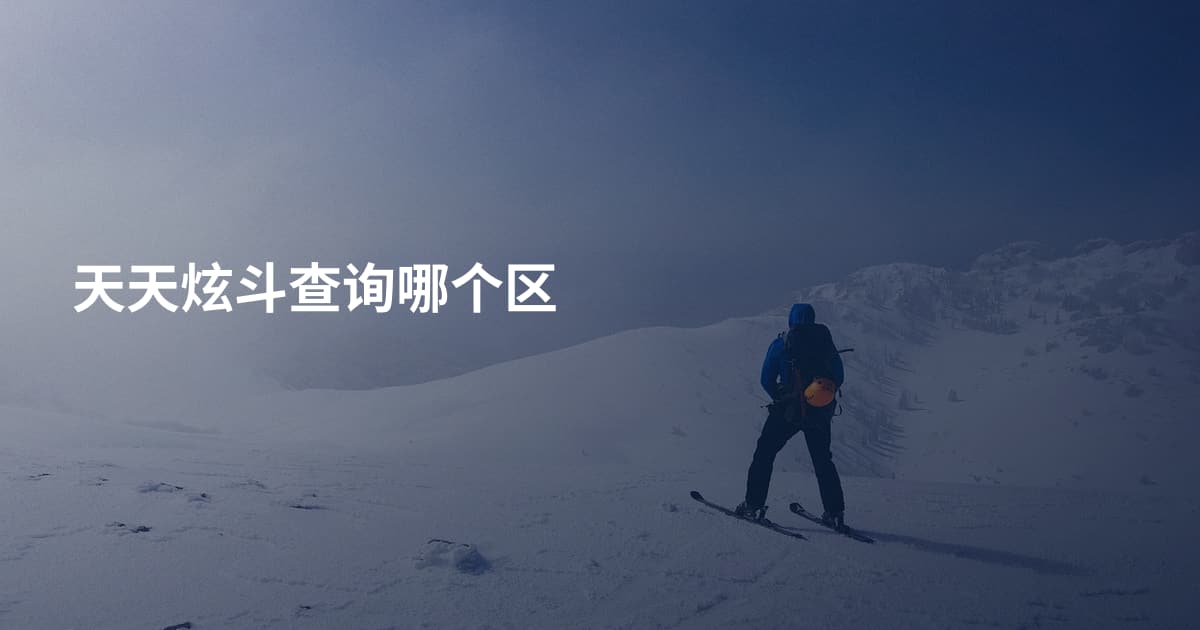 天天炫斗查询哪个区