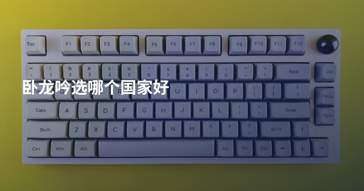 卧龙吟选哪个国家好