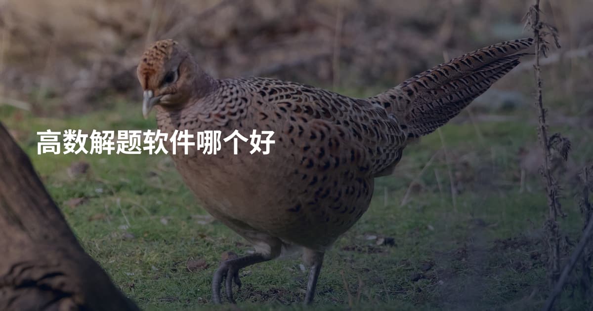 高数解题软件哪个好