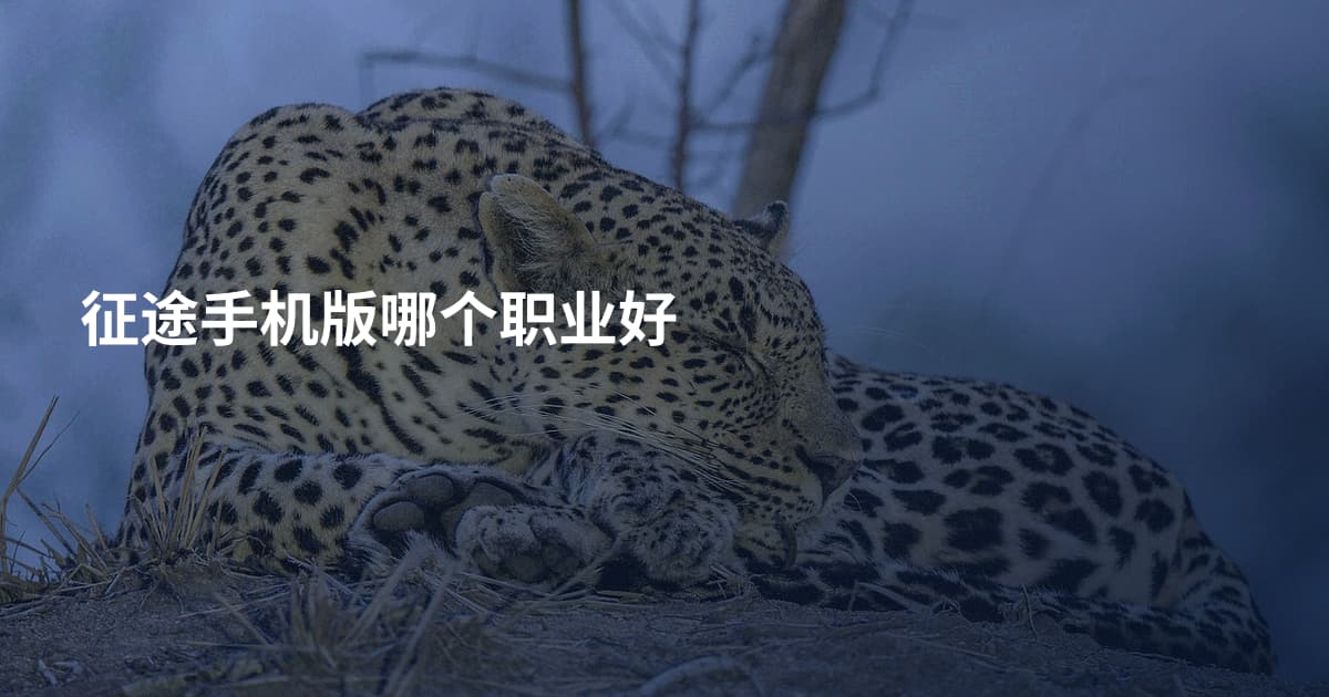 征途手机版哪个职业好