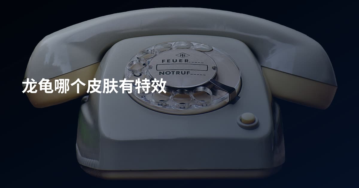 龙龟哪个皮肤有特效