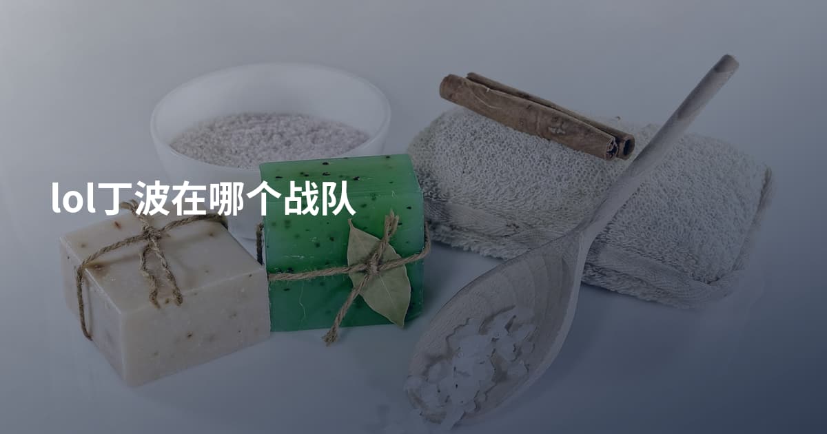 lol丁波在哪个战队