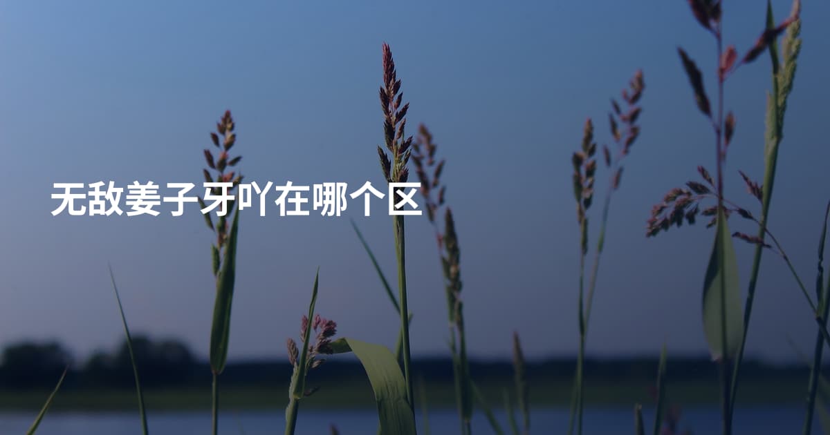 无敌姜子牙吖在哪个区