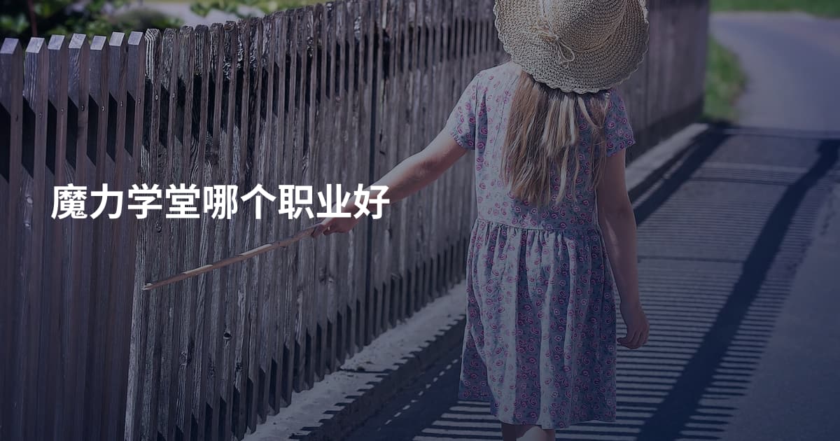 魔力学堂哪个职业好