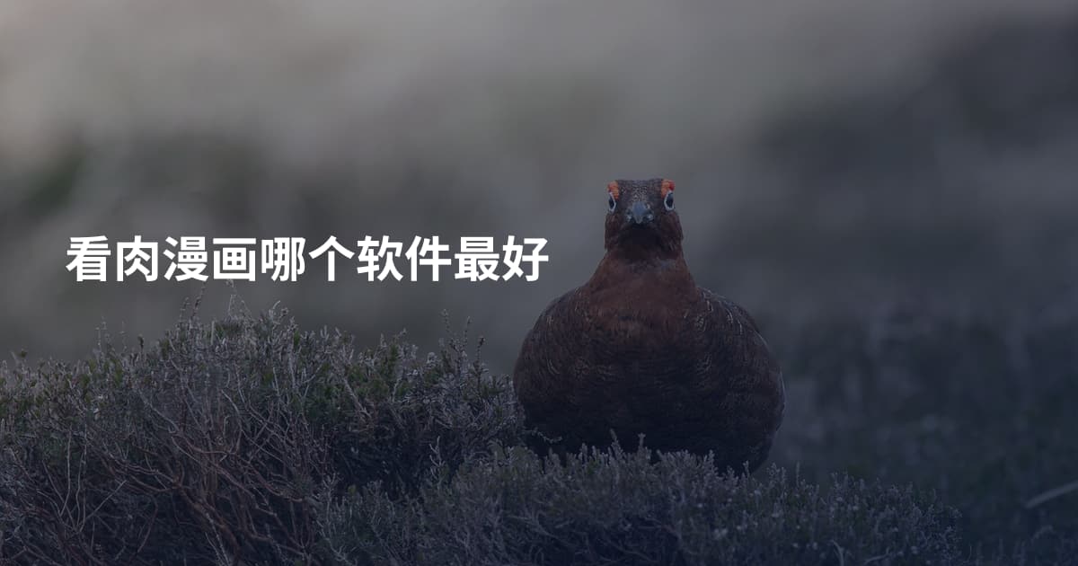 看肉漫画哪个软件最好