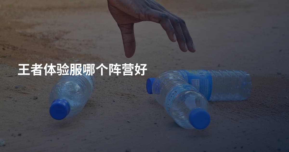 王者体验服哪个阵营好
