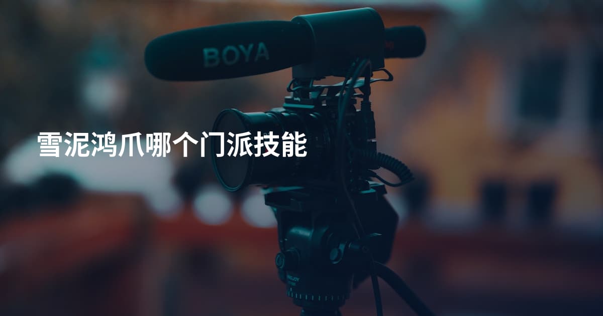 雪泥鸿爪哪个门派技能