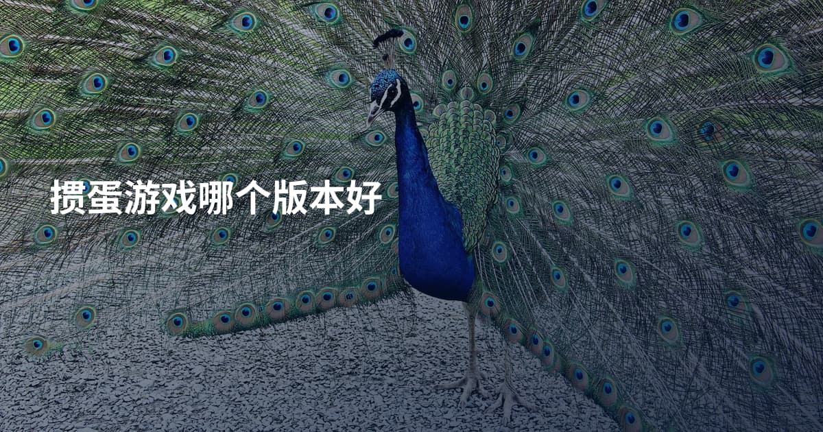 掼蛋游戏哪个版本好