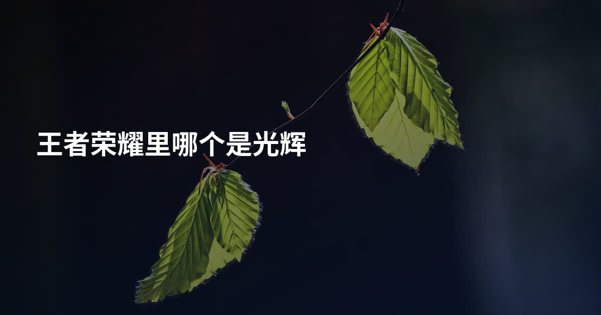 王者荣耀里哪个是光辉