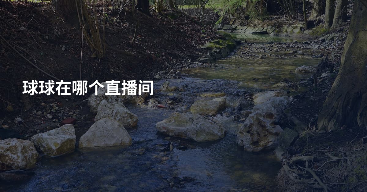 球球在哪个直播间