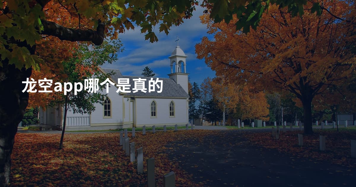 龙空app哪个是真的