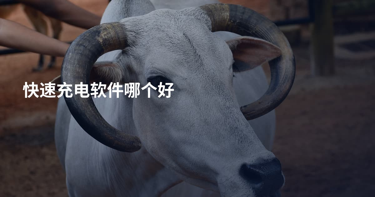 快速充电软件哪个好