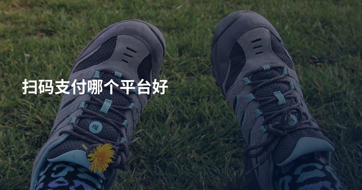 扫码支付哪个平台好