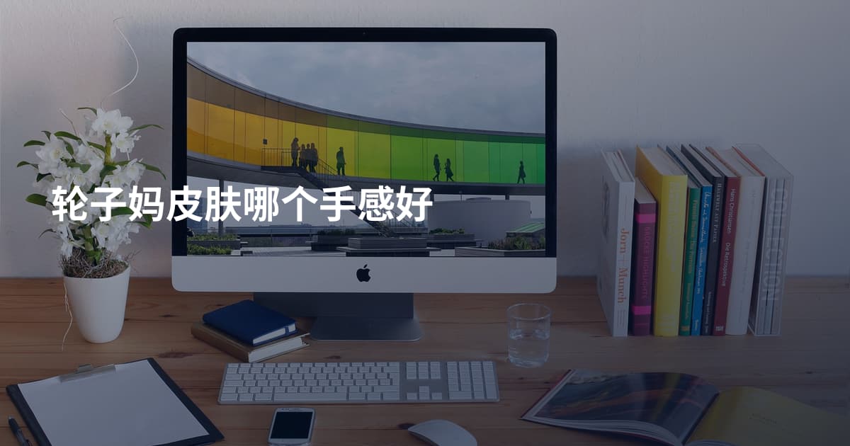 轮子妈皮肤哪个手感好