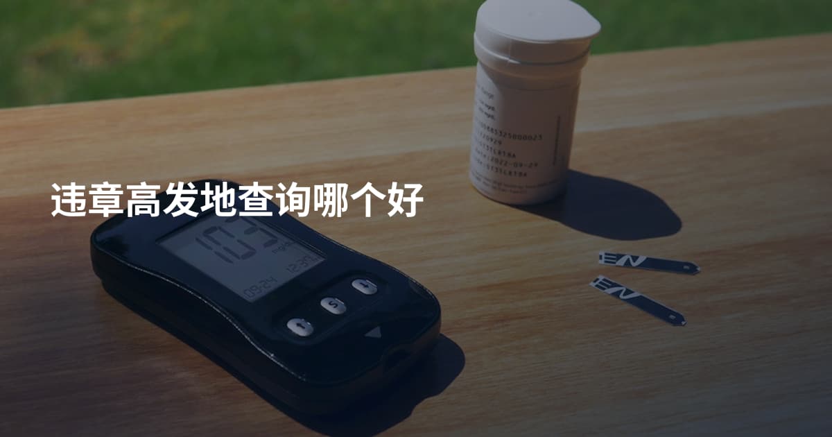 违章高发地查询哪个好
