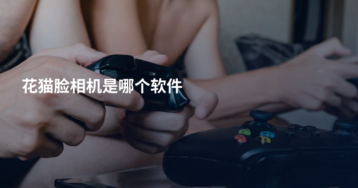 花猫脸相机是哪个软件