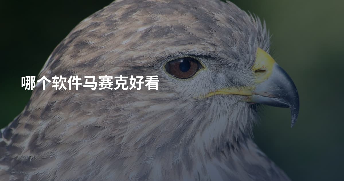 哪个软件马赛克好看