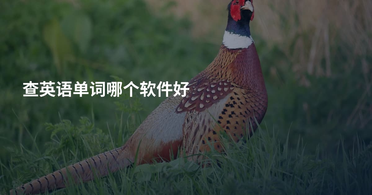 查英语单词哪个软件好