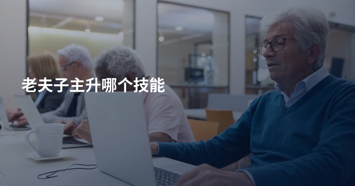 老夫子主升哪个技能