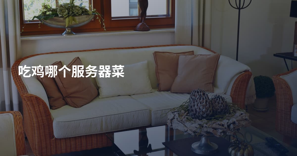 吃鸡哪个服务器菜