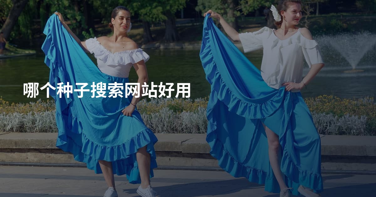 哪个种子搜索网站好用