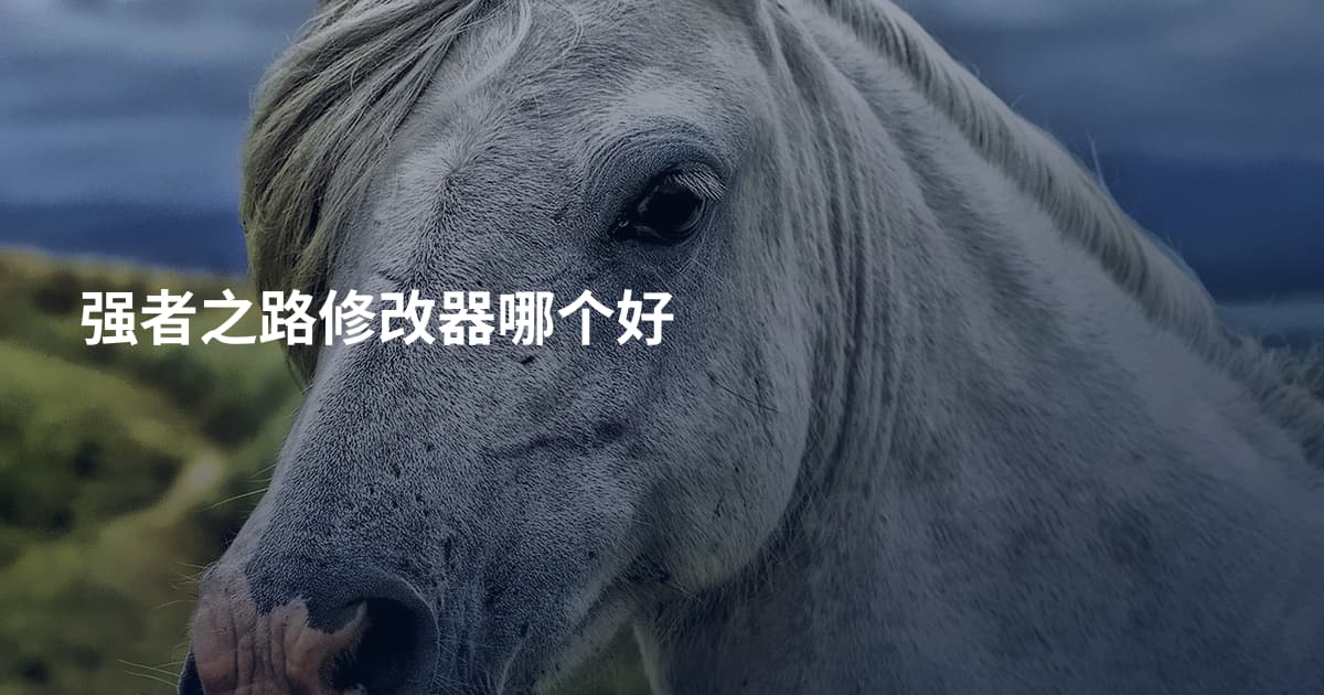 强者之路修改器哪个好