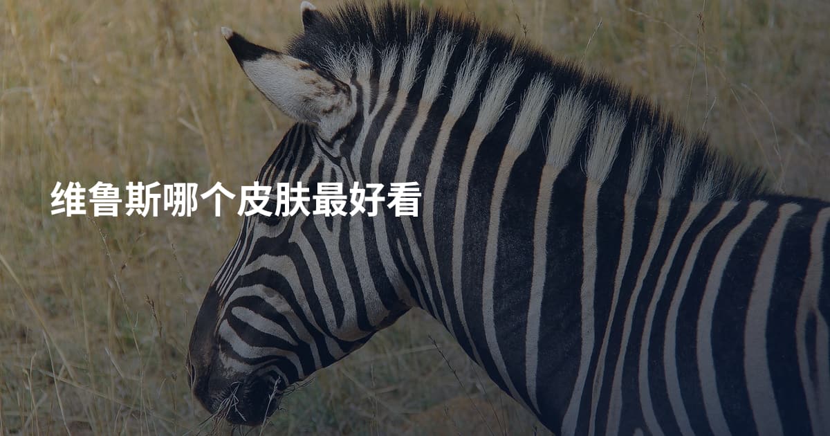 维鲁斯哪个皮肤最好看