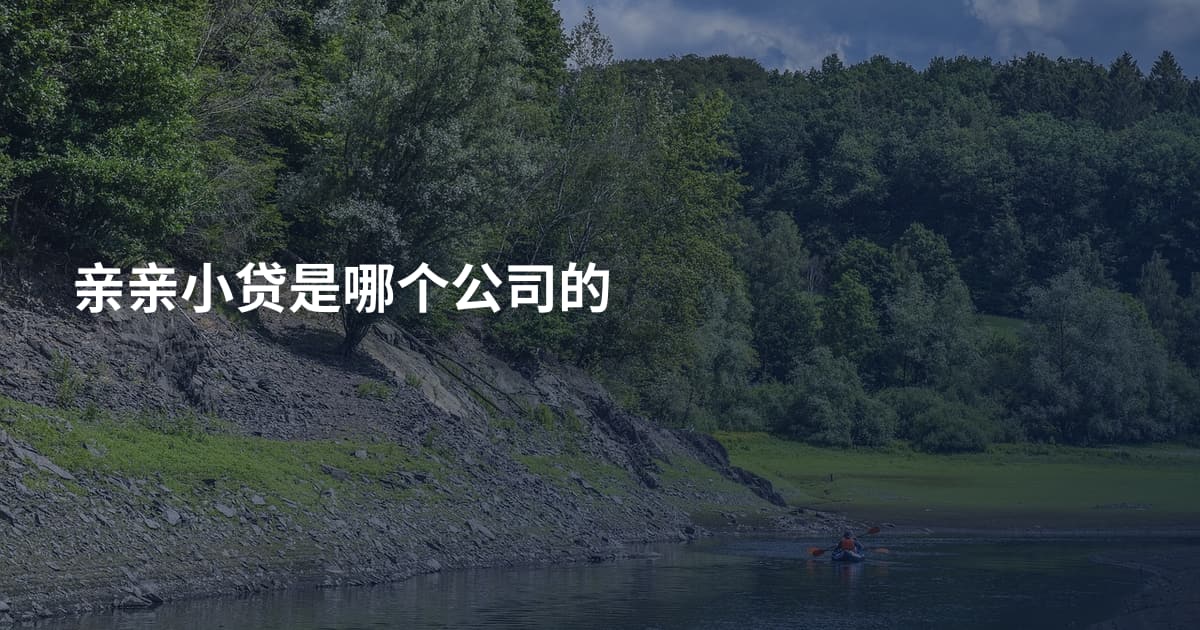 亲亲小贷是哪个公司的