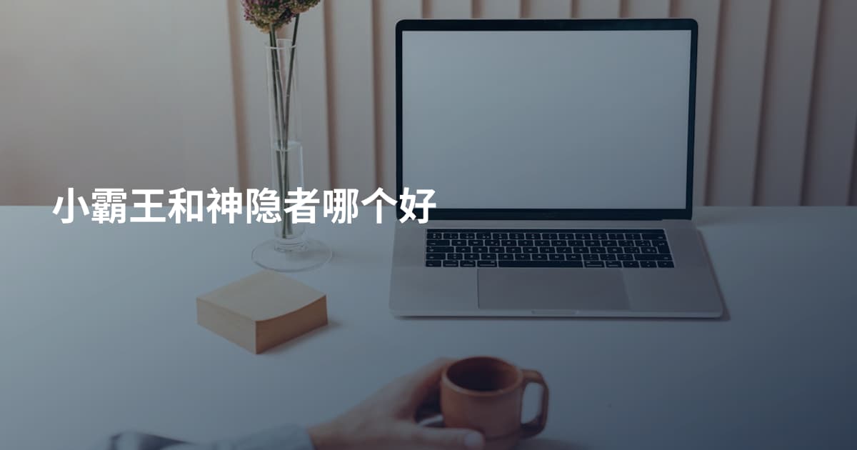 小霸王和神隐者哪个好