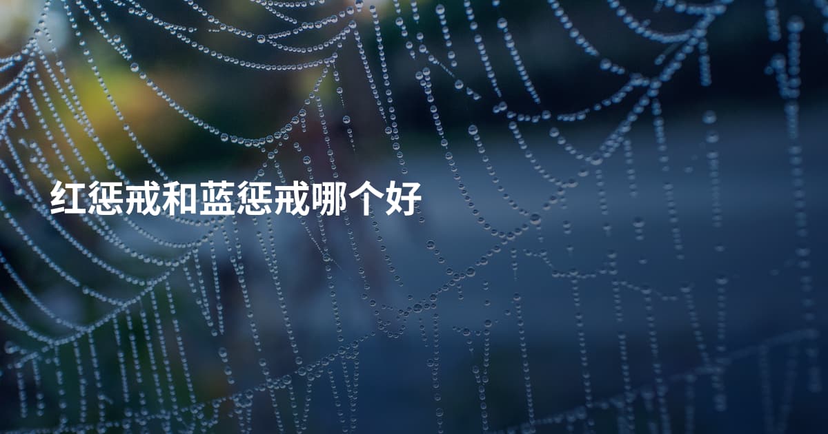 红惩戒和蓝惩戒哪个好