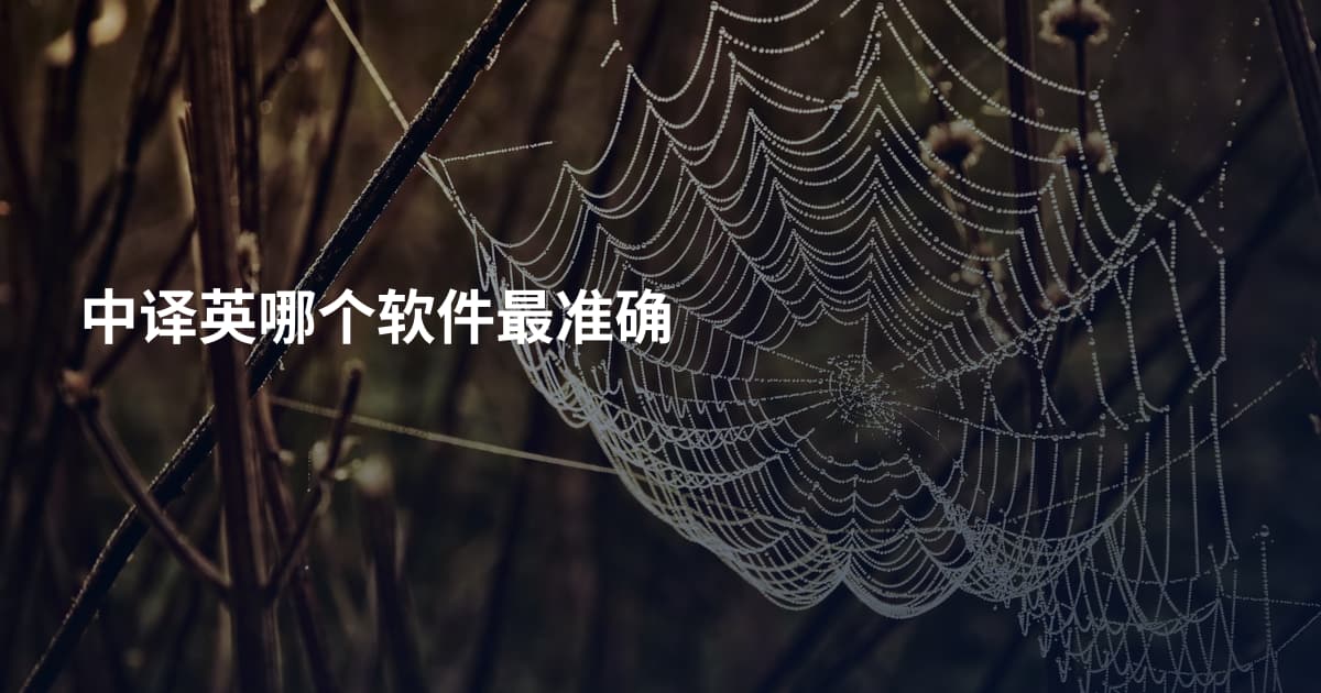 中译英哪个软件最准确