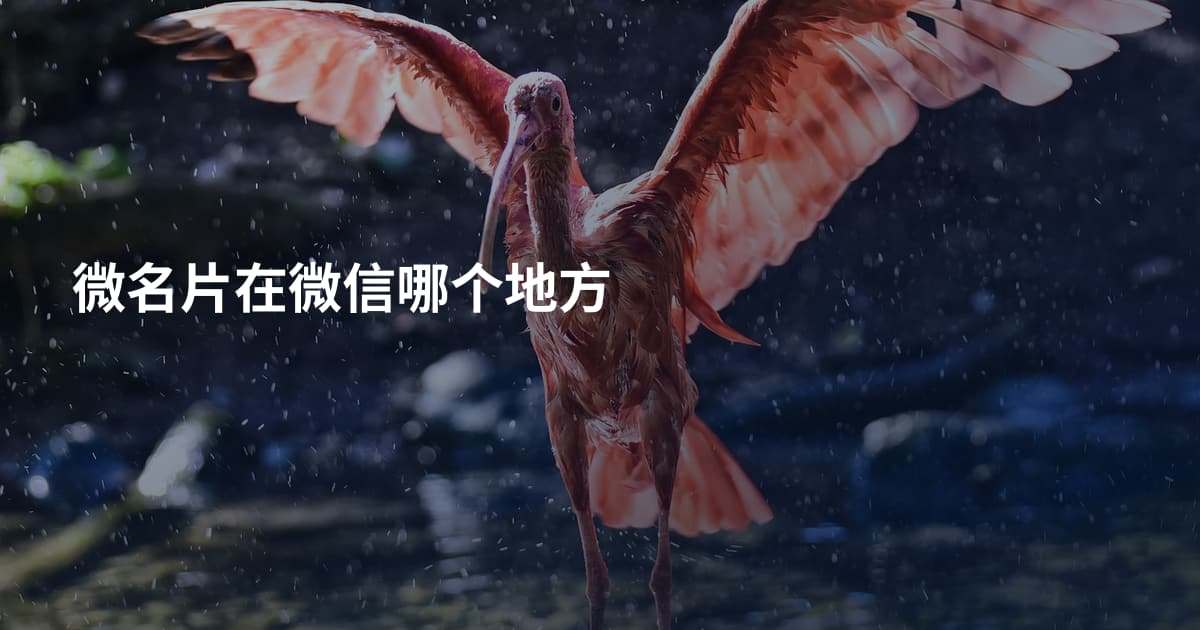 微名片在微信哪个地方