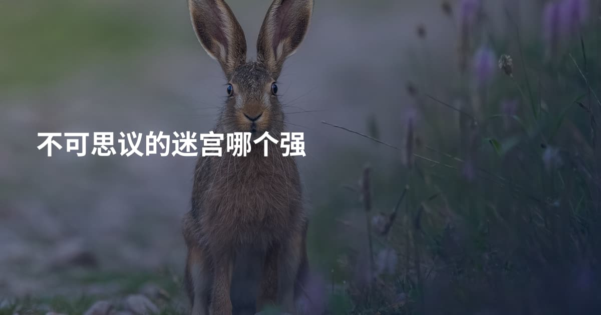 不可思议的迷宫哪个强