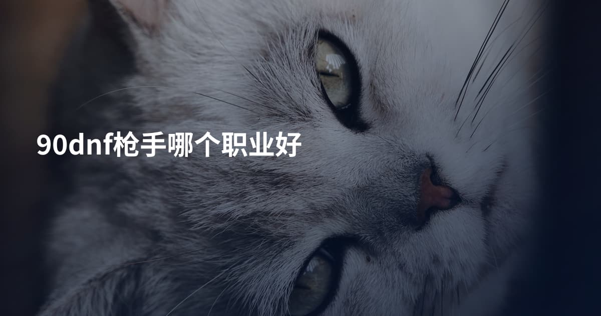 90dnf枪手哪个职业好