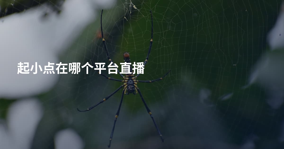 起小点在哪个平台直播