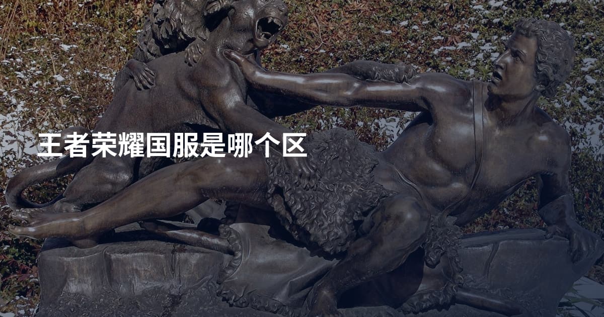 王者荣耀国服是哪个区