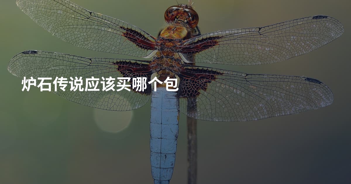 炉石传说应该买哪个包